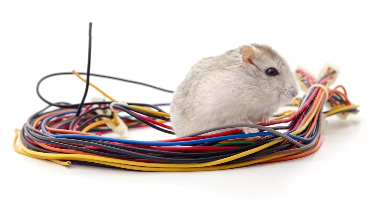 protection%20des%20circuits%20%C3%A9lectriques